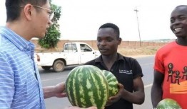 网红吃瓜黑历史是真的吗知乎,真相还是谣言？