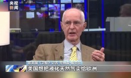 外国新闻记者爆料案例,真实事件背后的真相与挑战
